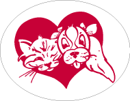 La Feuille de L'Animal