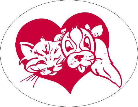 La Feuille de L'Animal